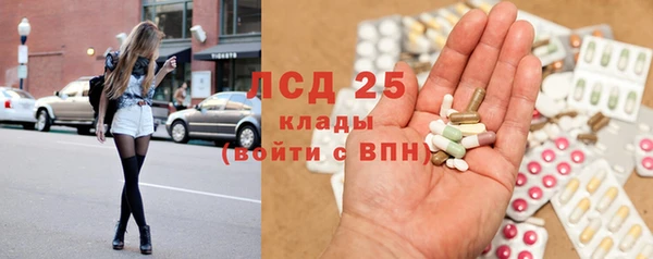 мяу мяу мука Бородино