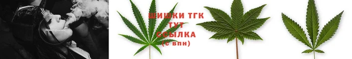 мяу мяу мука Бородино