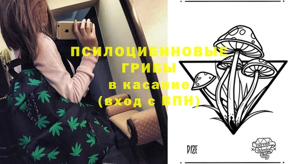 дмт Бугульма