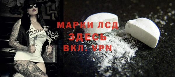 мяу мяу мука Бородино